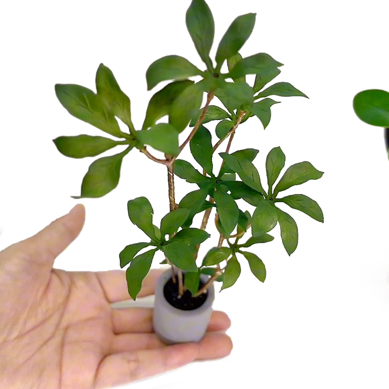 Bonsai Garden Ideas - 1:6 Dollhouse Miniature Potted Plants Model