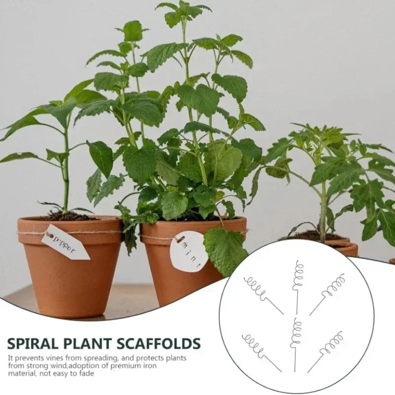 Climbing Plant Support Stake S - Bonsai Garden Usa review and price