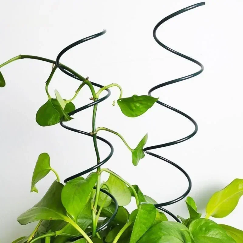 Climbing Plant Support Stake S - Bonsai Garden Usa review and price