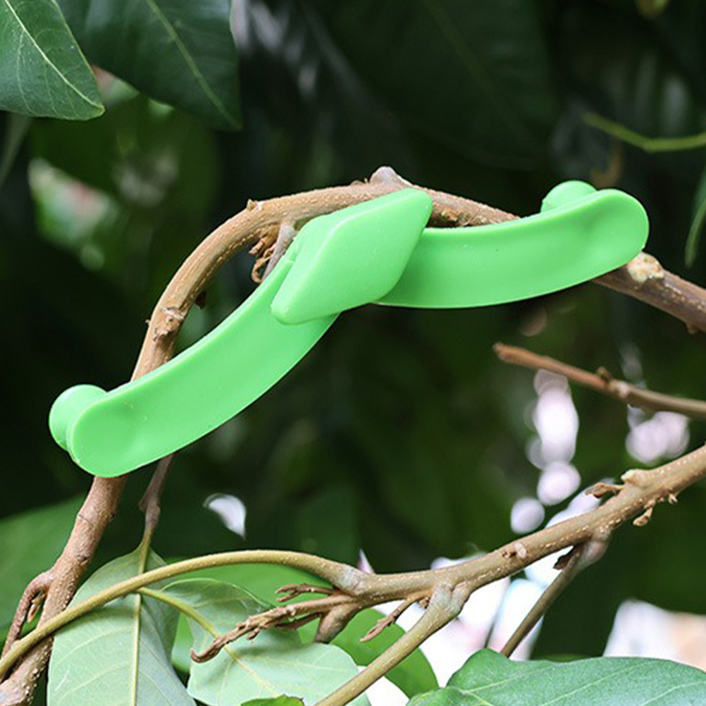 5Pcs Bonsai Branch Stabilizer  - Bonsai Garden Usa review and price