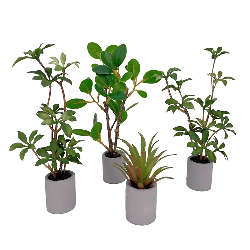1:6 Dollhouse Miniature Potted - Bonsai Garden Ideas review and price