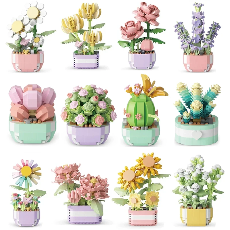 Flower Succulents Building Blo - Bonsai Garden Plants review and price