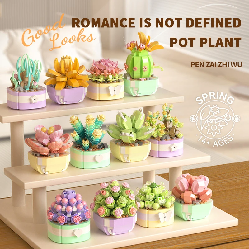 Flower Succulents Building Blo - Bonsai Garden Plants review and price