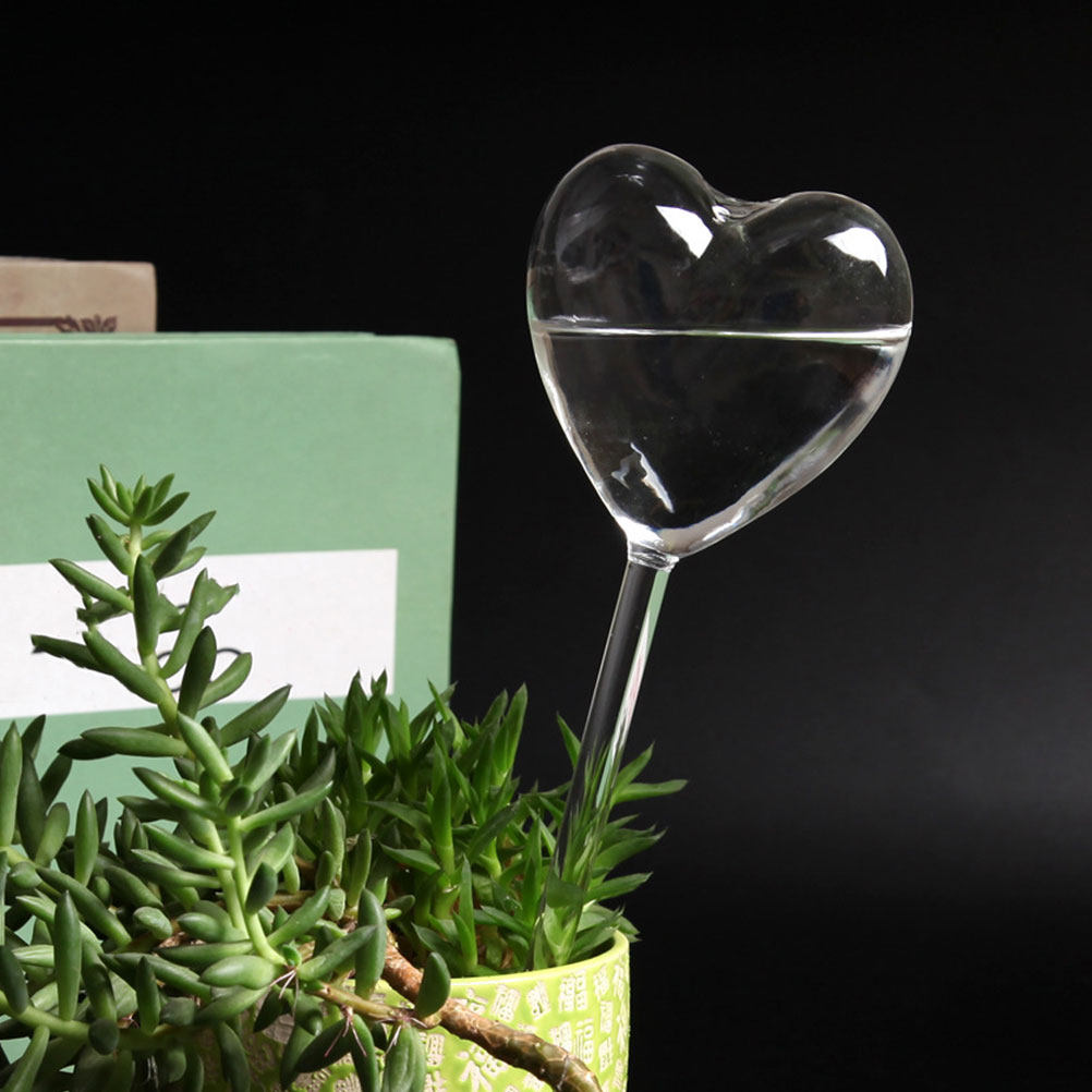3Pcs Heart Shaped Glass Self W - Bonsai Garden Plants review and price