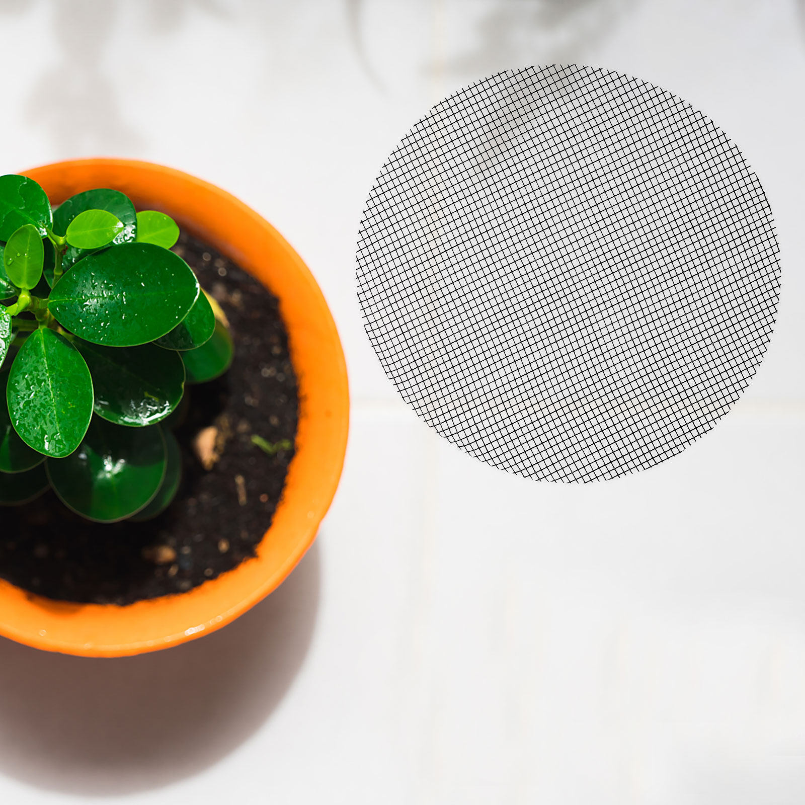 50Pcs Flower Pot Hole Mesh Pad - Bonsai Garden Usa review and price