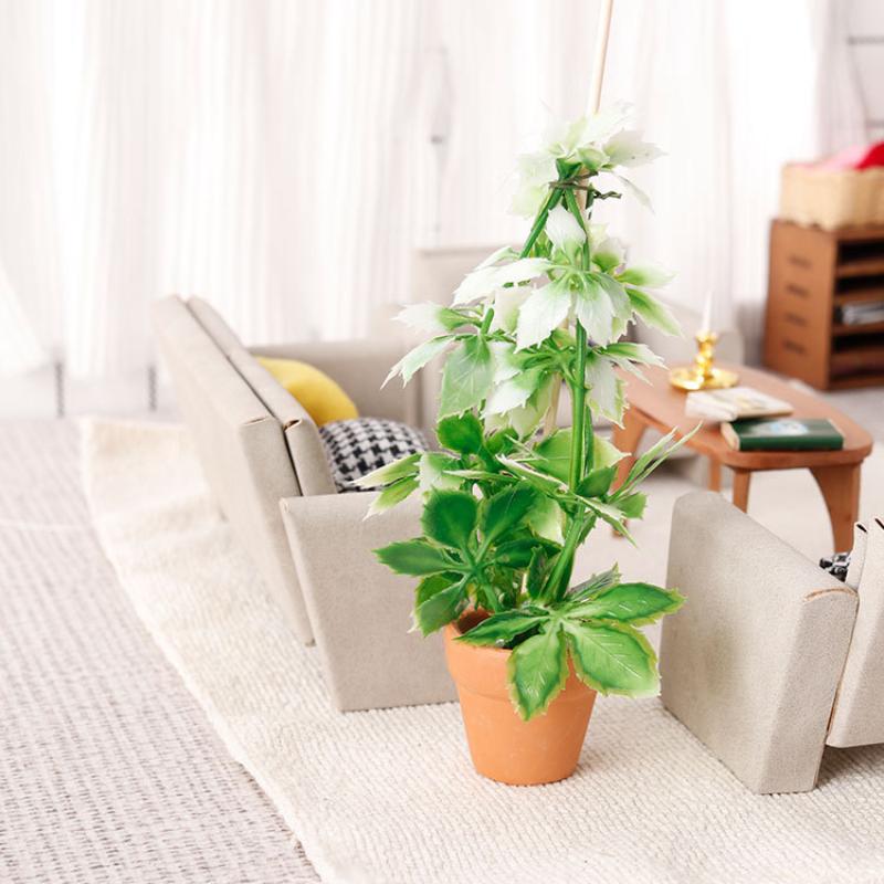 1/12 Dollhouse Simulation Gree - Bonsai Garden Usa review and price