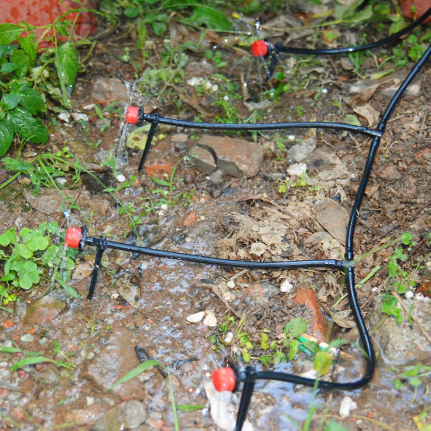 Garden Watering Hose Drip Irri - Bonsai Garden Youtube review and price