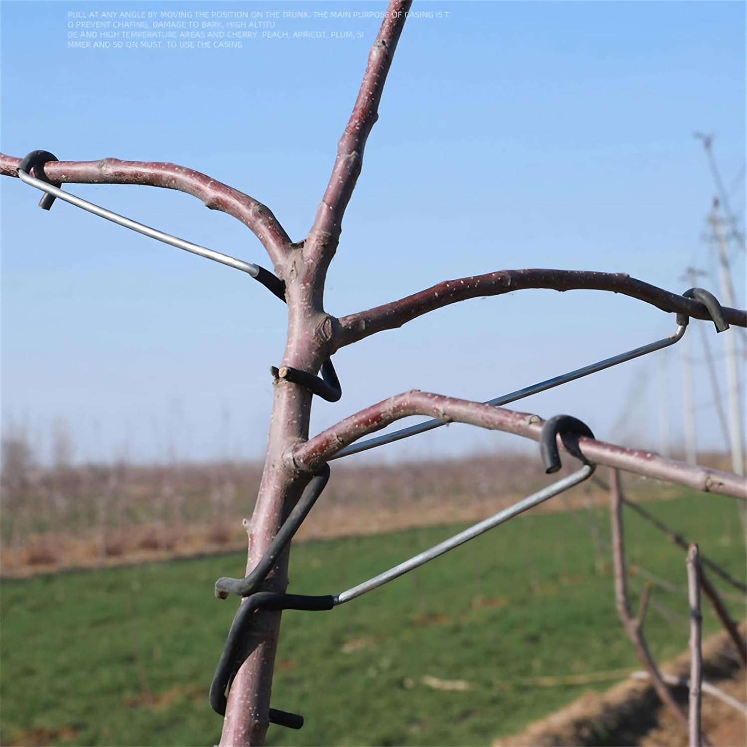Adjustable Fruit Tree Branch S - Bonsai Garden Usa review and price