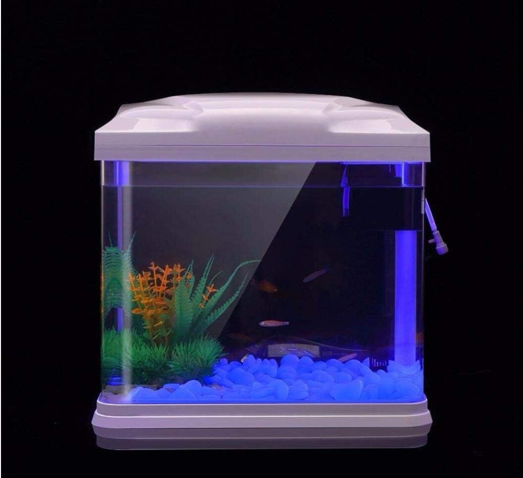 Fish Tank Rocks Glow Blue Pebb - Bonsai Gardenia review and price