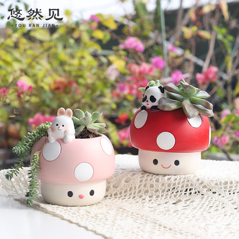 Cartoon Cute Mushroom Succulen - Bonsai Garden Youtube review and price