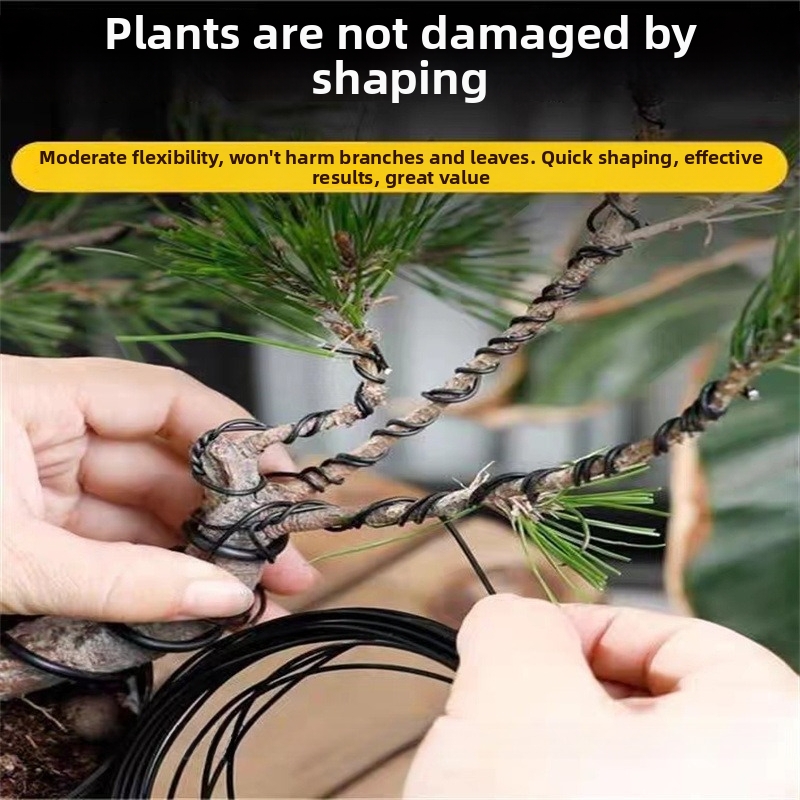 1.5MM Bonsai Wires Aluminum Bo - Bonsai Garden Usa review and price