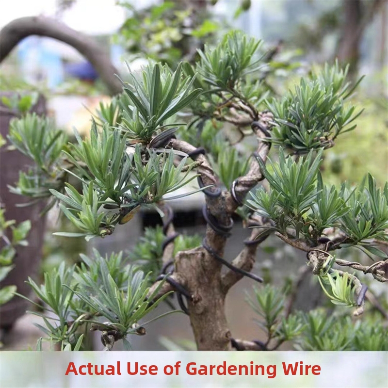 1.5MM Bonsai Wires Aluminum Bo - Bonsai Garden Usa review and price