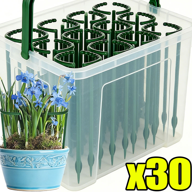 30-1PCS Plastic Plant Support  - Bonsai Garden Tools review and price