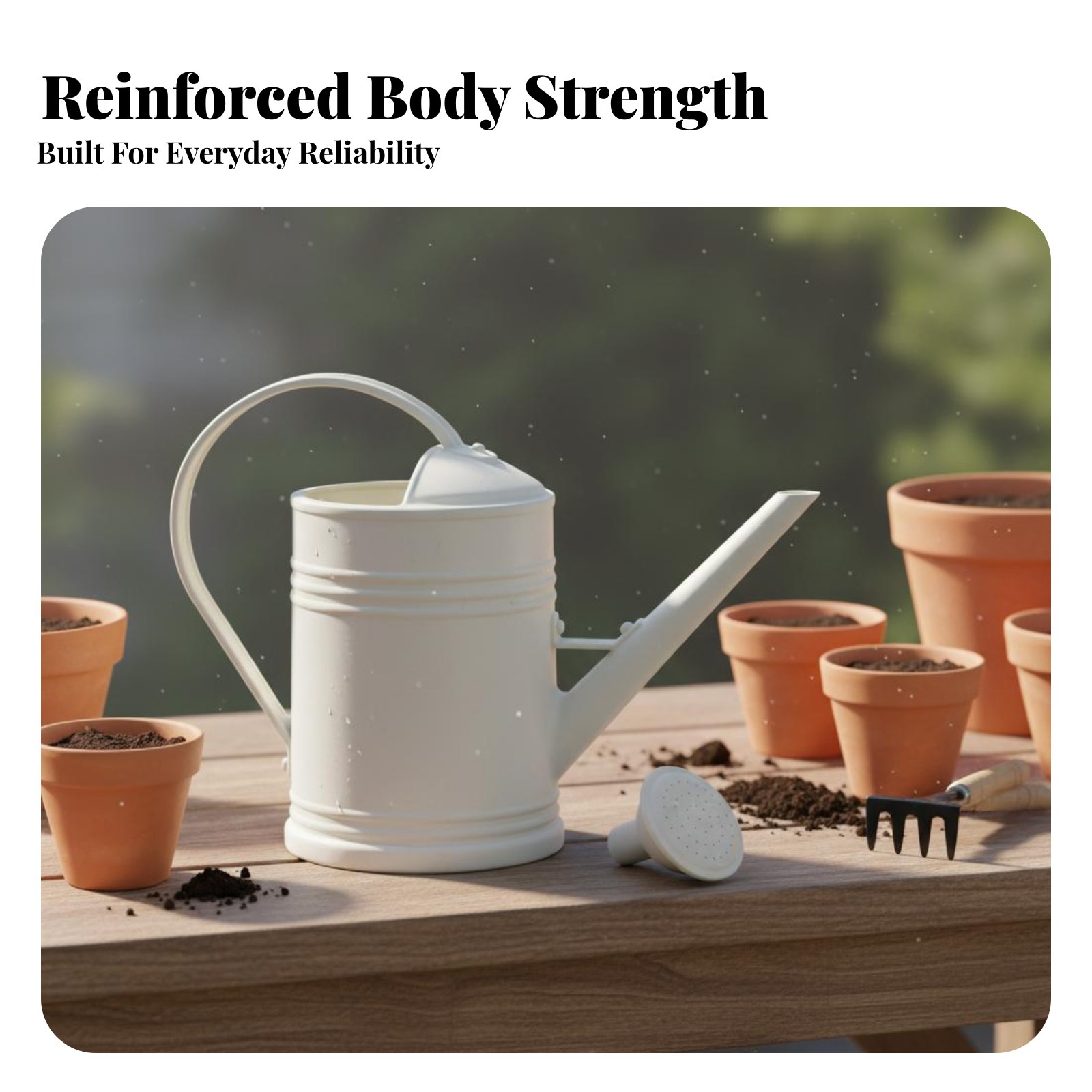 Watering Can with Long Spout P - Bonsai Garden Plants review and price