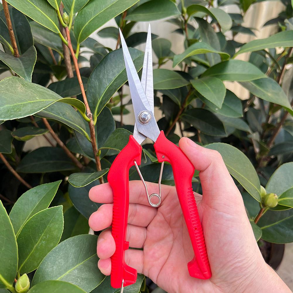 Pro Garden Pruning Shears Leng - Bonsai Garden Plants review and price