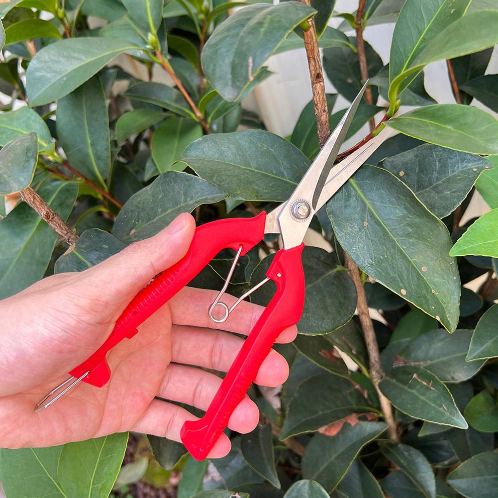 Pro Garden Pruning Shears Leng - Bonsai Garden Plants review and price