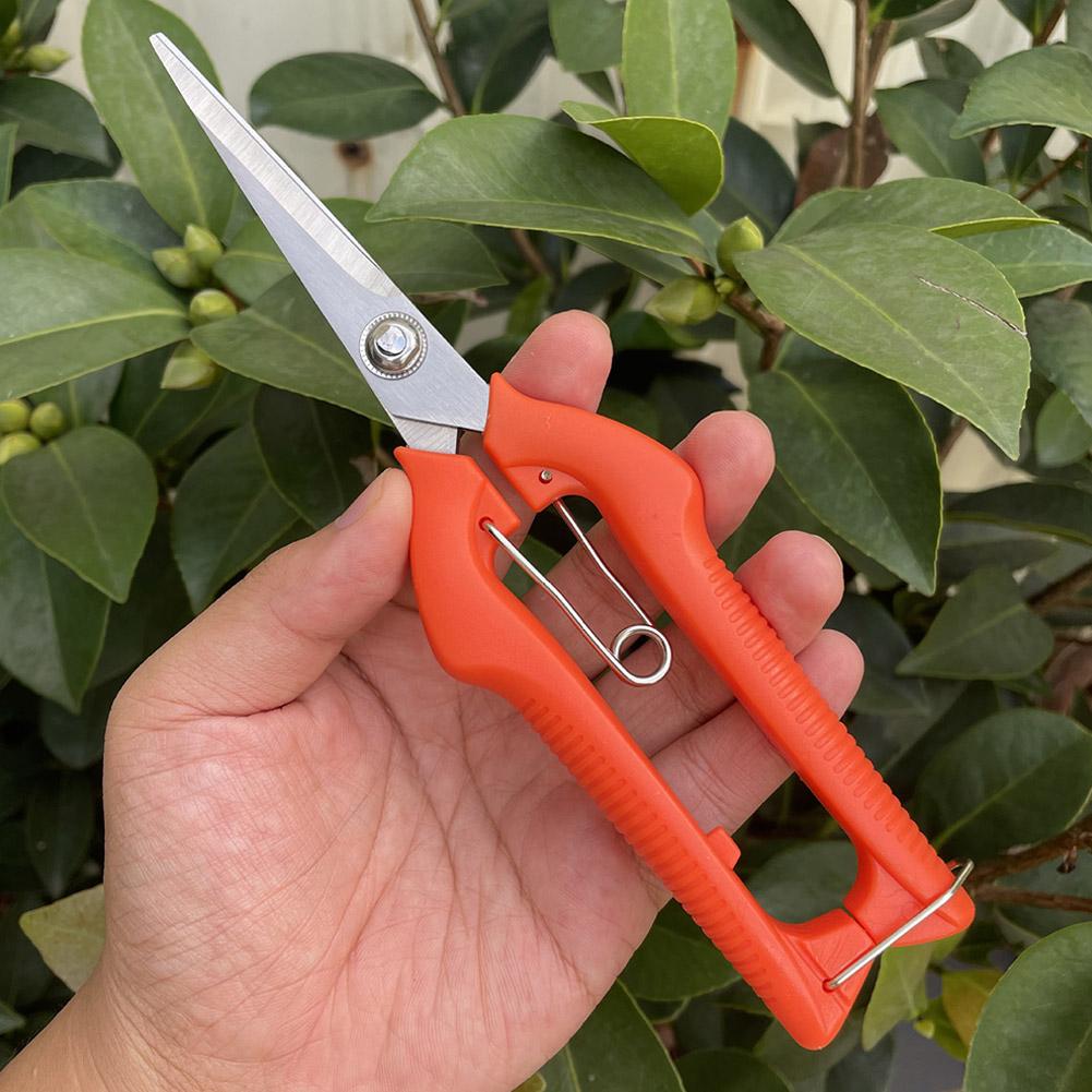 Pro Garden Pruning Shears Leng - Bonsai Garden Plants review and price