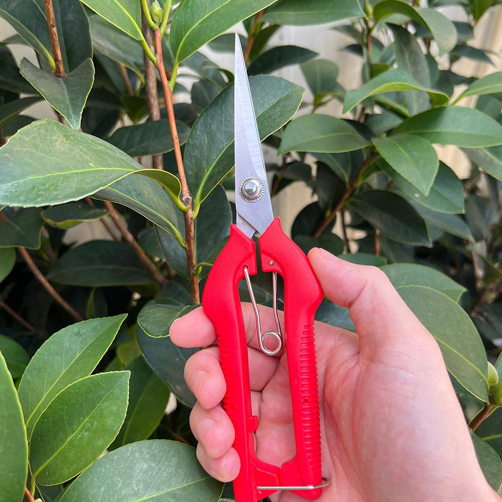 Pro Garden Pruning Shears Leng - Bonsai Garden Plants review and price