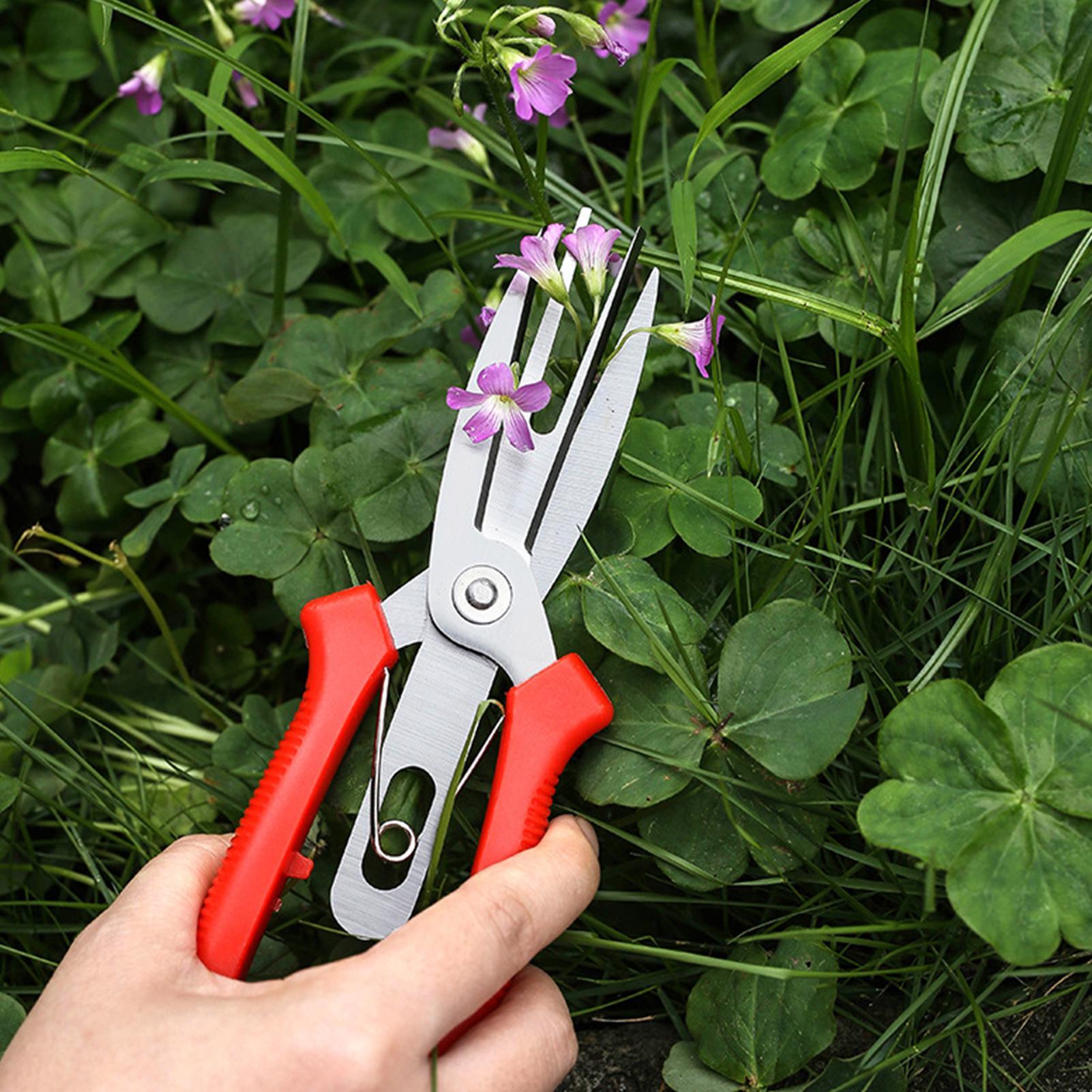Garden Shears Stainless Steel  - Bonsai Garden Usa review and price