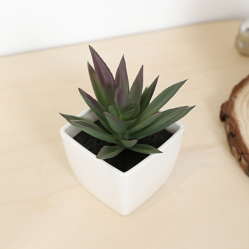 Mini Artificial Succulent Fair - Bonsai Garden Ideas review and price
