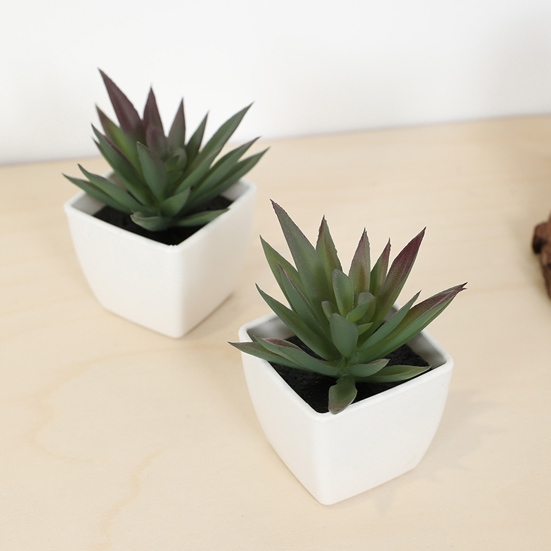 Mini Artificial Succulent Fair - Bonsai Garden Ideas review and price