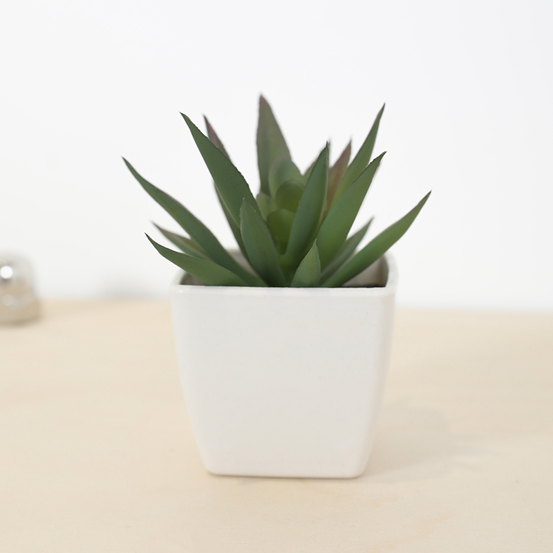 Mini Artificial Succulent Fair - Bonsai Garden Ideas review and price