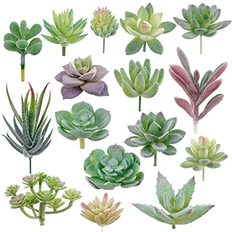 10/20Pcs PVC Succulents Plants - Bonsai Garden Ideas review and price