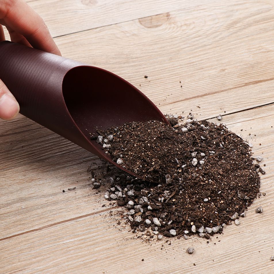 1PC Plastic Soil Shovel Cup Fo - Bonsai Garden Plants review and price